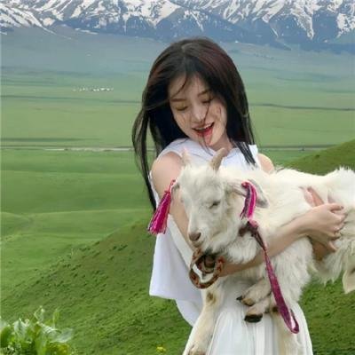星际大争霸：计划