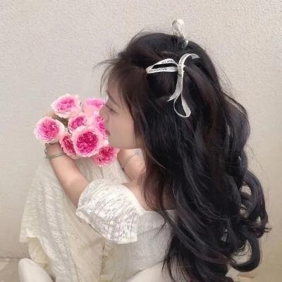姐姐的情人粤语